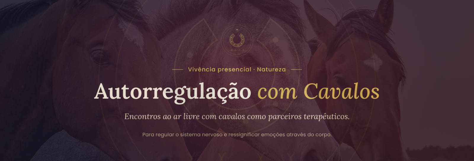Desenvolvimento pessoal com cavalos e natureza
